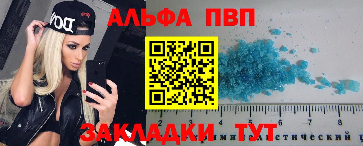 A PVP СК КРИС Воронеж